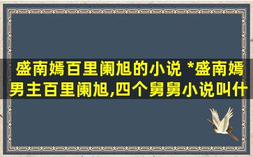 盛南嫣百里阑旭的小说 女主盛南嫣男主百里阑旭,四个舅舅小说叫什么